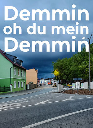 Eine Straße mit Häusern in Demmin. Auf dem Plakat steht in weißer Schrift "Demmin, oh du mein Demmin".