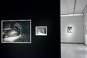 Blick in den Ausstellungsraum. An der Wand hängen Bilder.