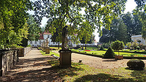 Der Schlosspark mit Bäumen und Wiesen.