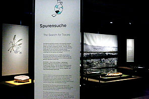 Ein dunkler Raum mit Lichtstrahlen auf Exponate und Texte.