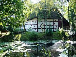 Ein Teich voller Seerosen. Dahinter steht ein weißes Bauernhaus. 