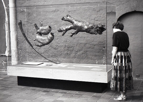 Eine Frau steht vor einer Glasvitrine. In der Vitrine hängen Organe eines Wals. Das Bild ist in schwarz-weiß.
