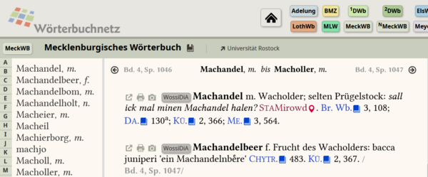 Blick in ein digitales Wörterbuch.