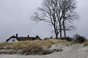 Hinter Dünen ragt das Dach eines Hauses hervor. Auf den Dünen stehen drei Bäume.