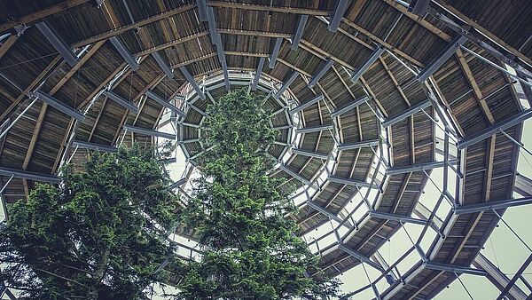 Ein Rundweg zieht wie eine Spirale seine Kreise.