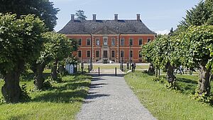 Ein Schotterweg. Links und rechts Wiese mit Bäumen. Am Ende des Weges steht das Schloss Bothmer.