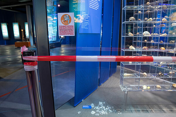 In einer Vitrine aus Glas liegen unzählige Muscheln. Auf dem Boden liegen Scherben. Daneben befinden sich blaue Aufsteller. Um die Kulisse wickelt sich rot-weißes Absperrband. 