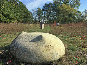 Auf einer Wiese liegt ein großer Stein.