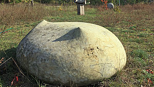 Auf einer Wiese liegt ein großer Stein.