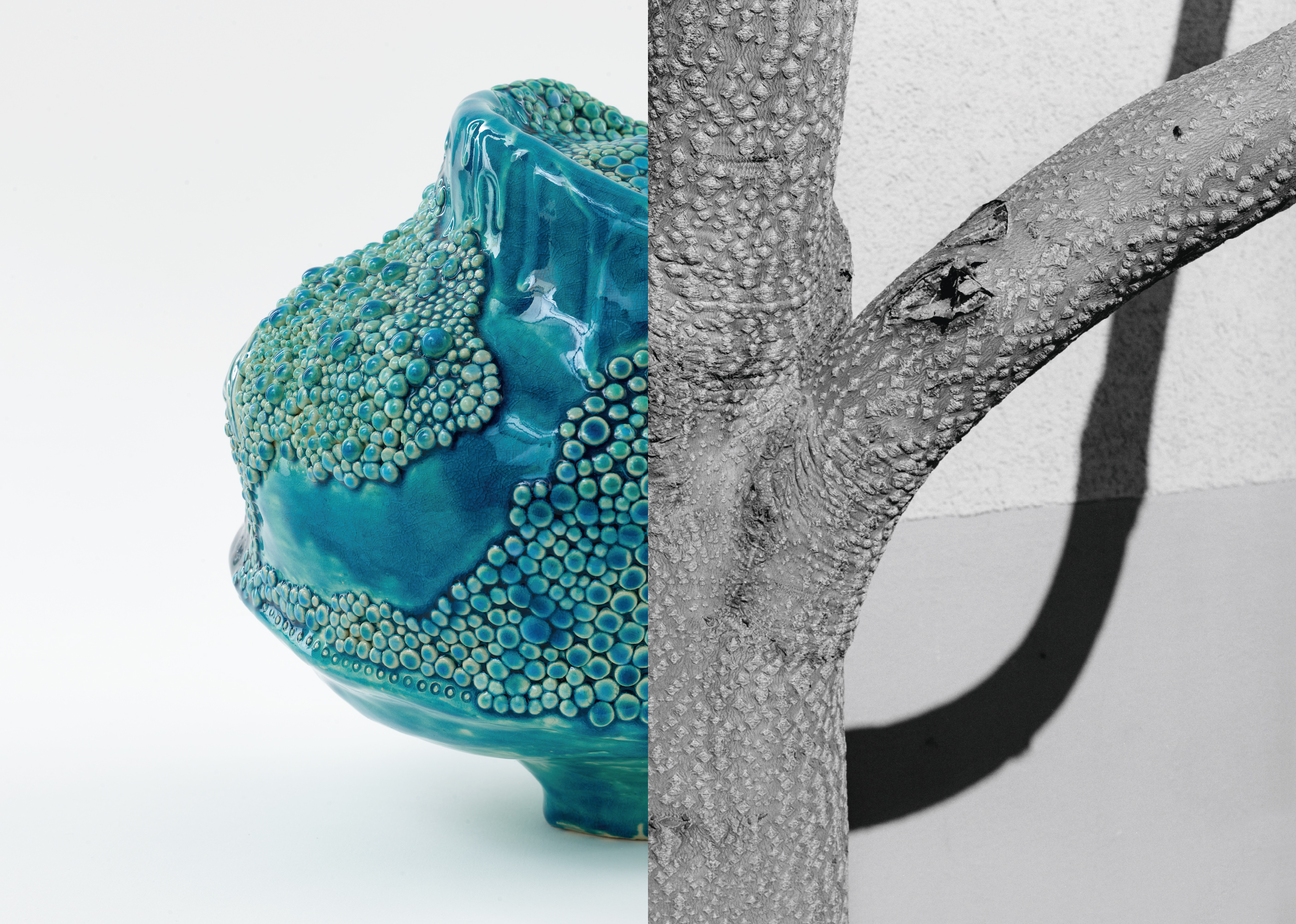 Sonderausstellung: NaturForm. Angelika Arendt & Ursula Böhmer