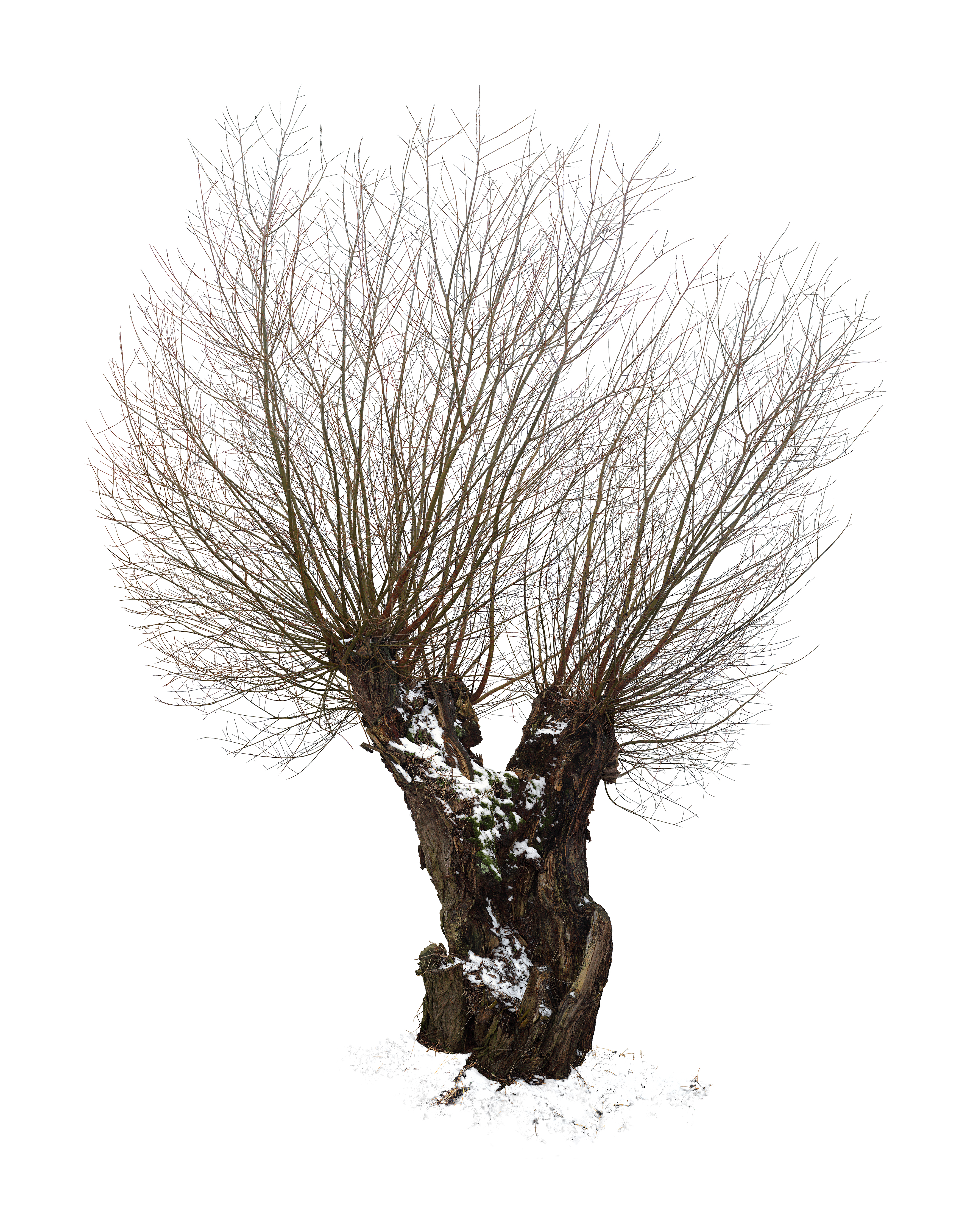„Andre van Uehm. Landschaftsfotografie“