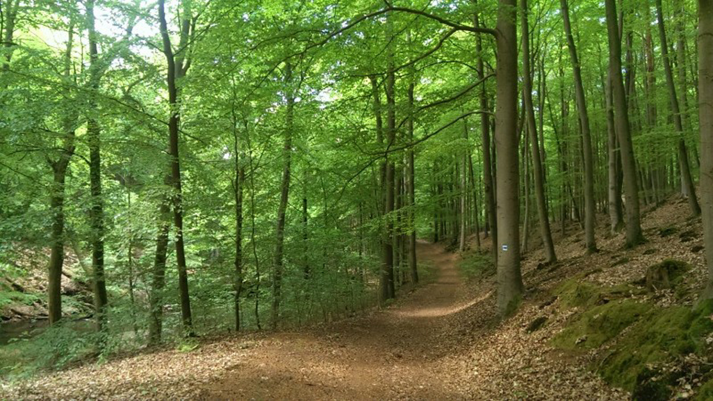 Open Air Galerie im Naturschutzgebiet Mildenitz- Durchbruchtal