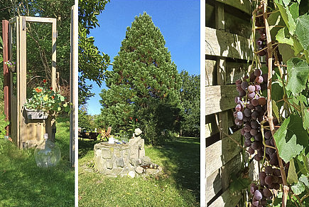 Drei Bildausschnitte zeigen den Kunstgarten Madsow. Herbsteindrücke mit Baum, Wein und Kunst.
