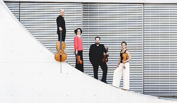 Das Artemis Quartett in MV