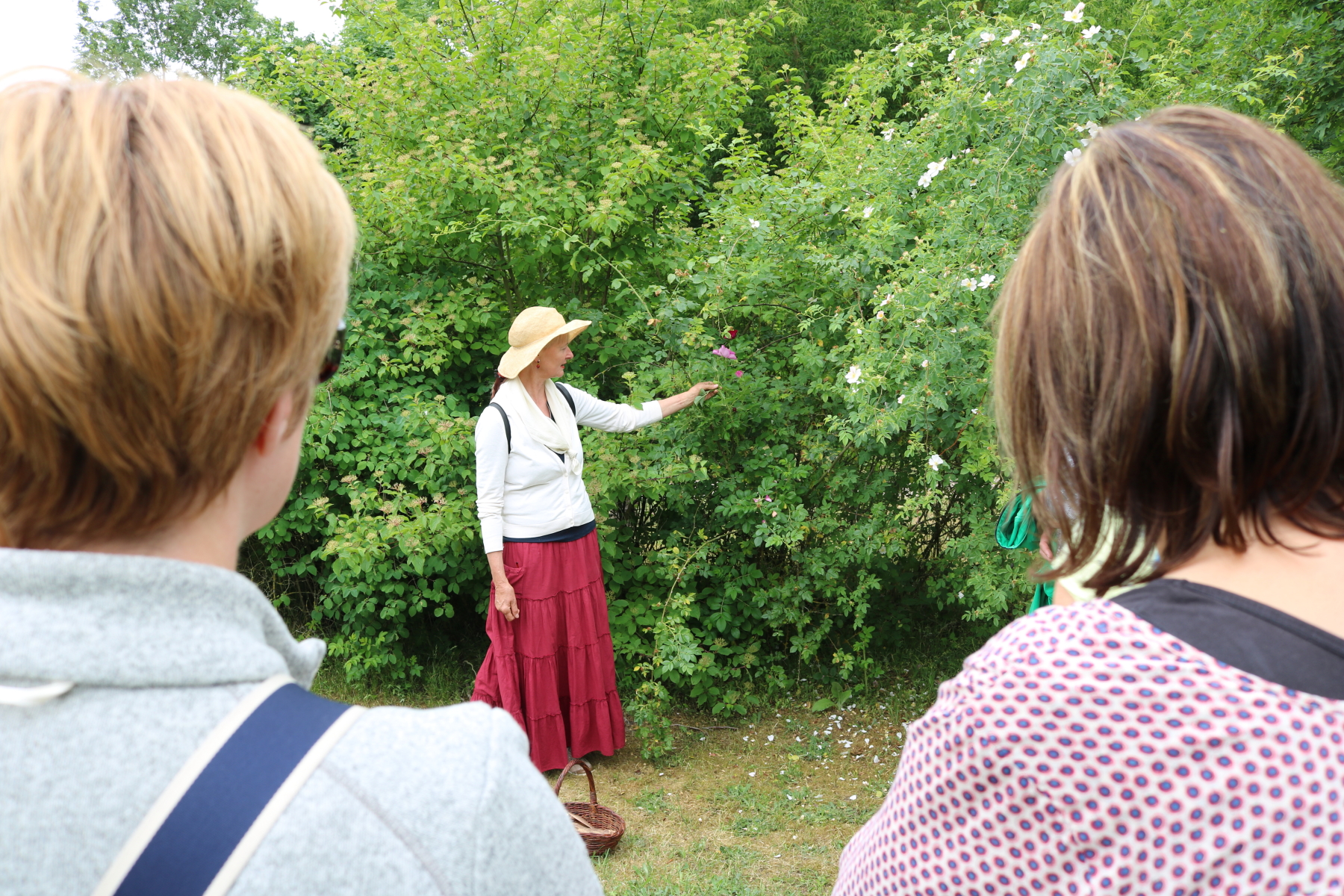 Anne-Katrin Schmiedehaus auf Kräuterführung durch das Freilichtmuseum Schwerin-Mueß © Landeshauptstadt Schwerin/Fred-Ingo Pahl