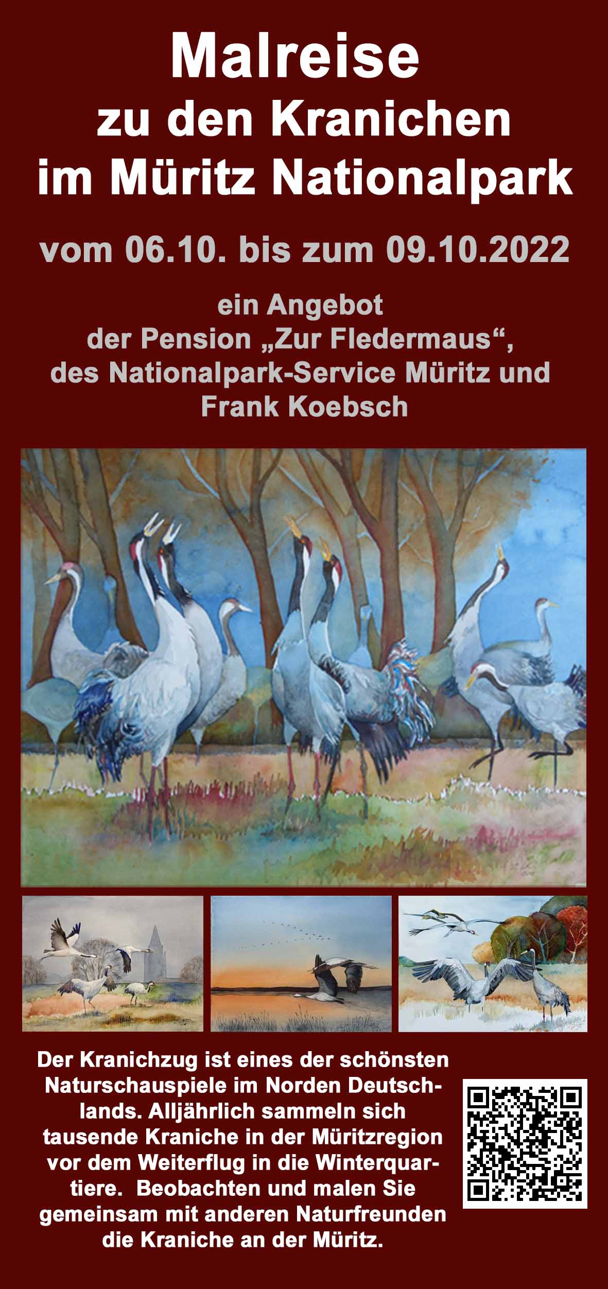 Malreise zu den Kranichen in den Müritz Nationalpark