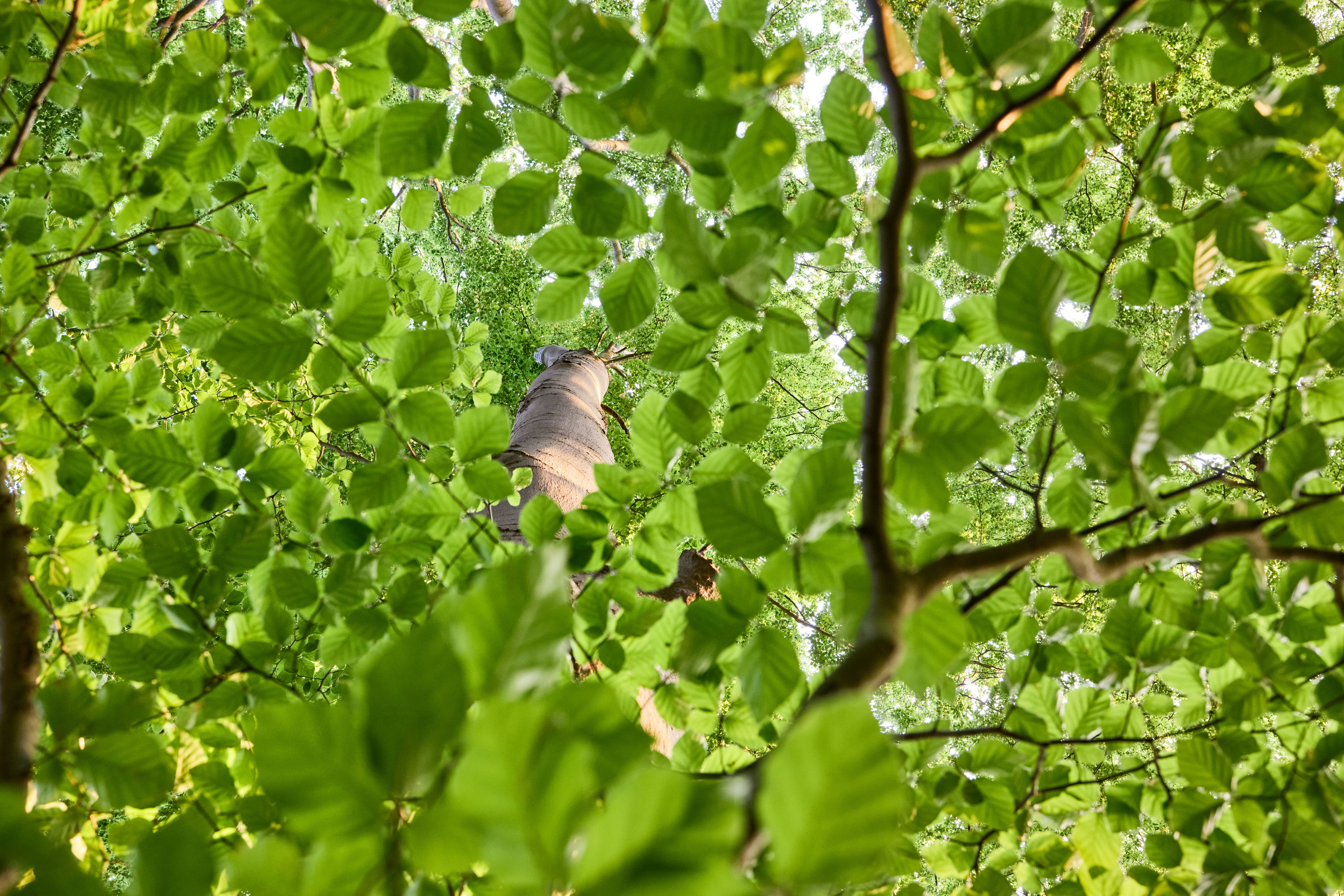 Vortrag zur Natur