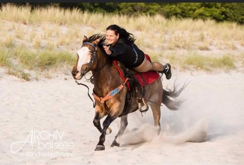 Action – Show mit Pferden
