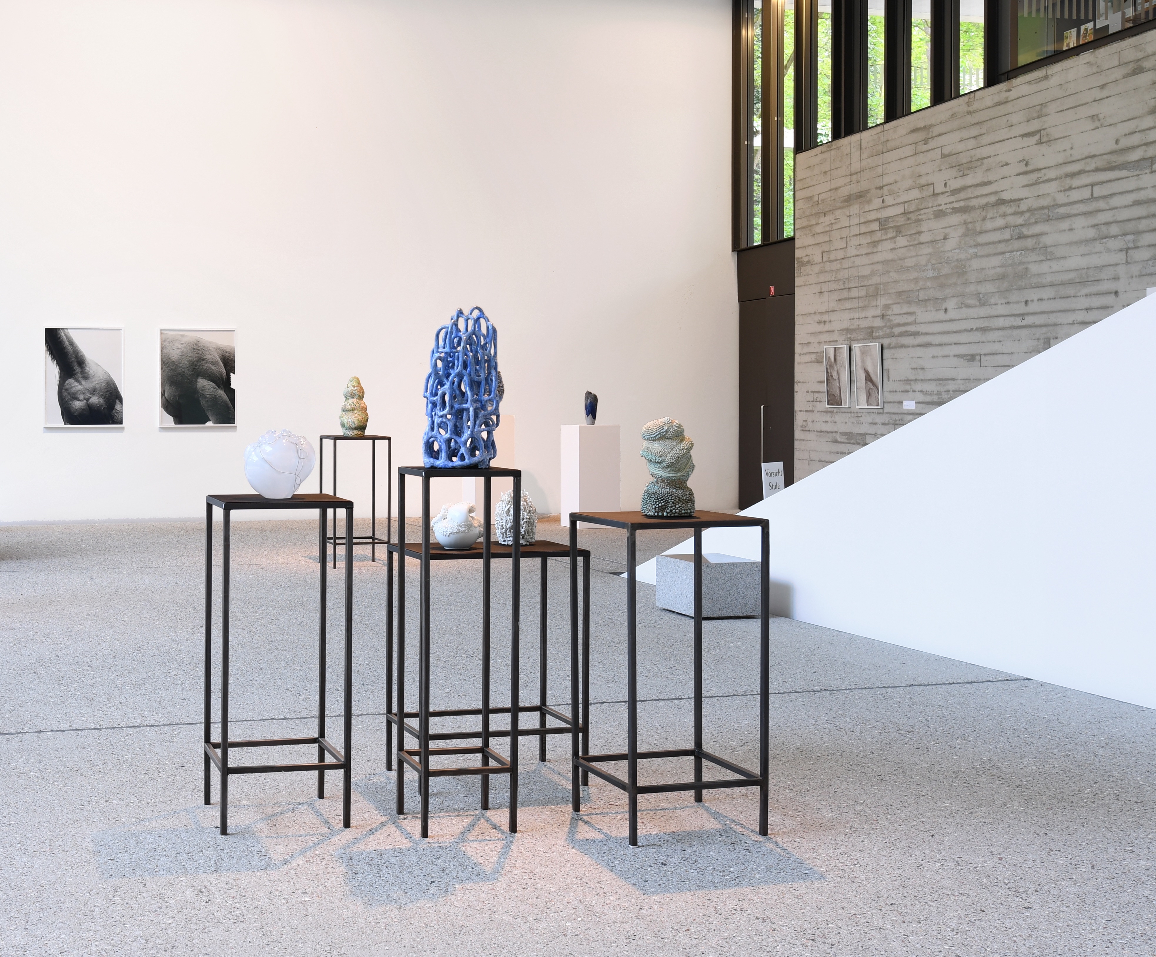 Im Dialog: Führung durch die Ausstellung „NaturForm. Angelika Arendt & Ursula Böhmer“