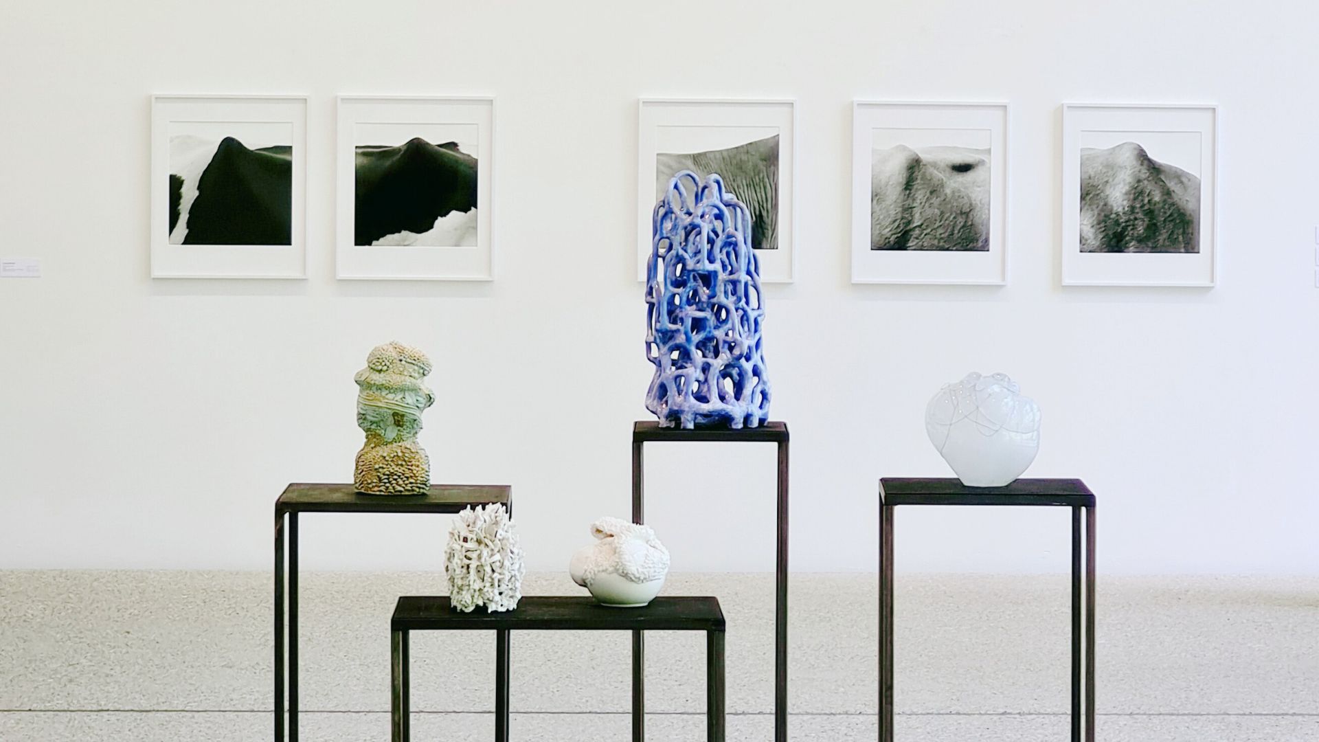 Kuratorinführung: NaturForm. Angelika Arendt & Ursula Böhmer