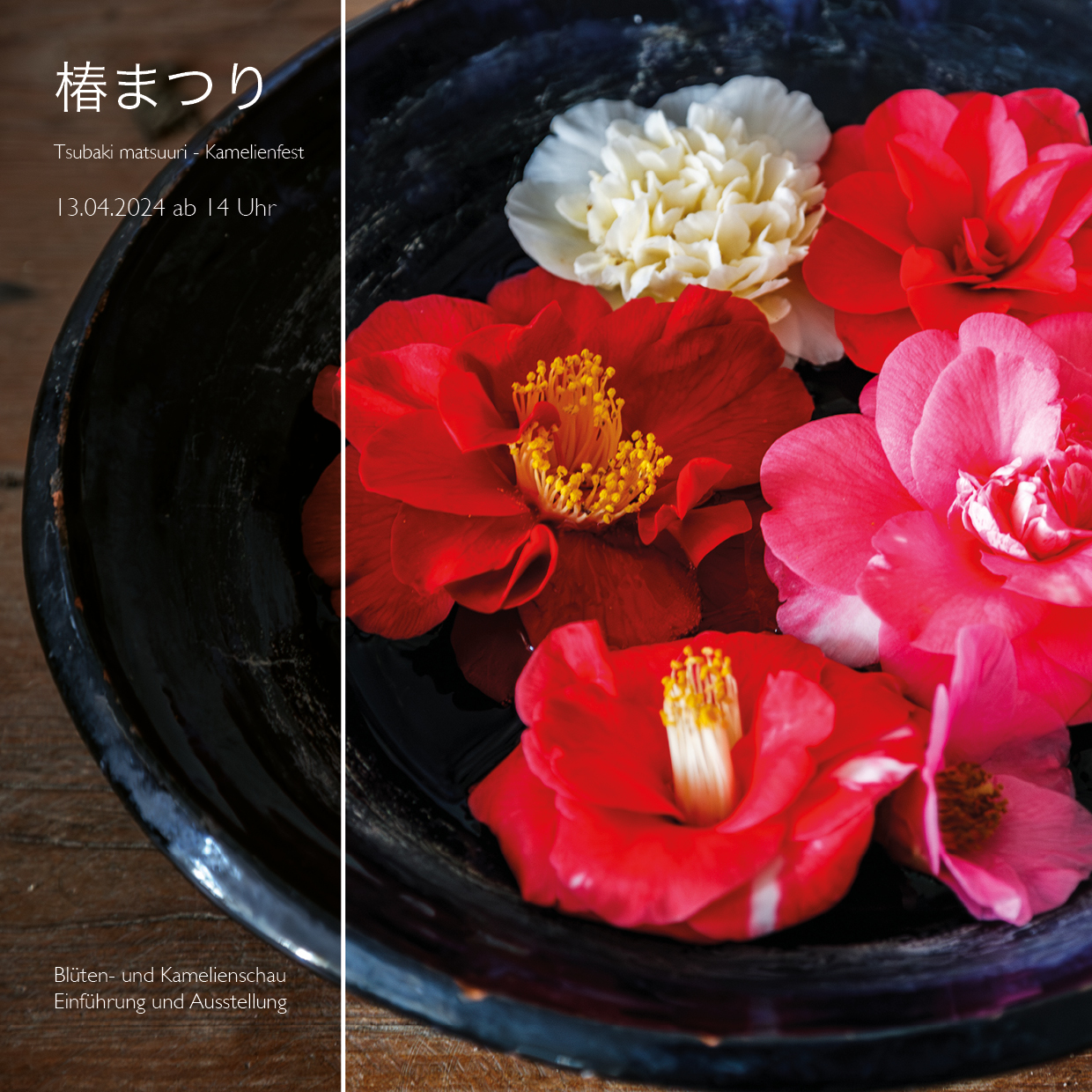 Saisoneröffnung Schloss Mitsuko – Kamelienfest – Tsubaki matsuuri