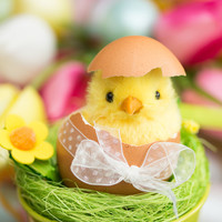 Osterbrunch am Ostersonntag & Ostermontag im Van der Valk Resort Linstow