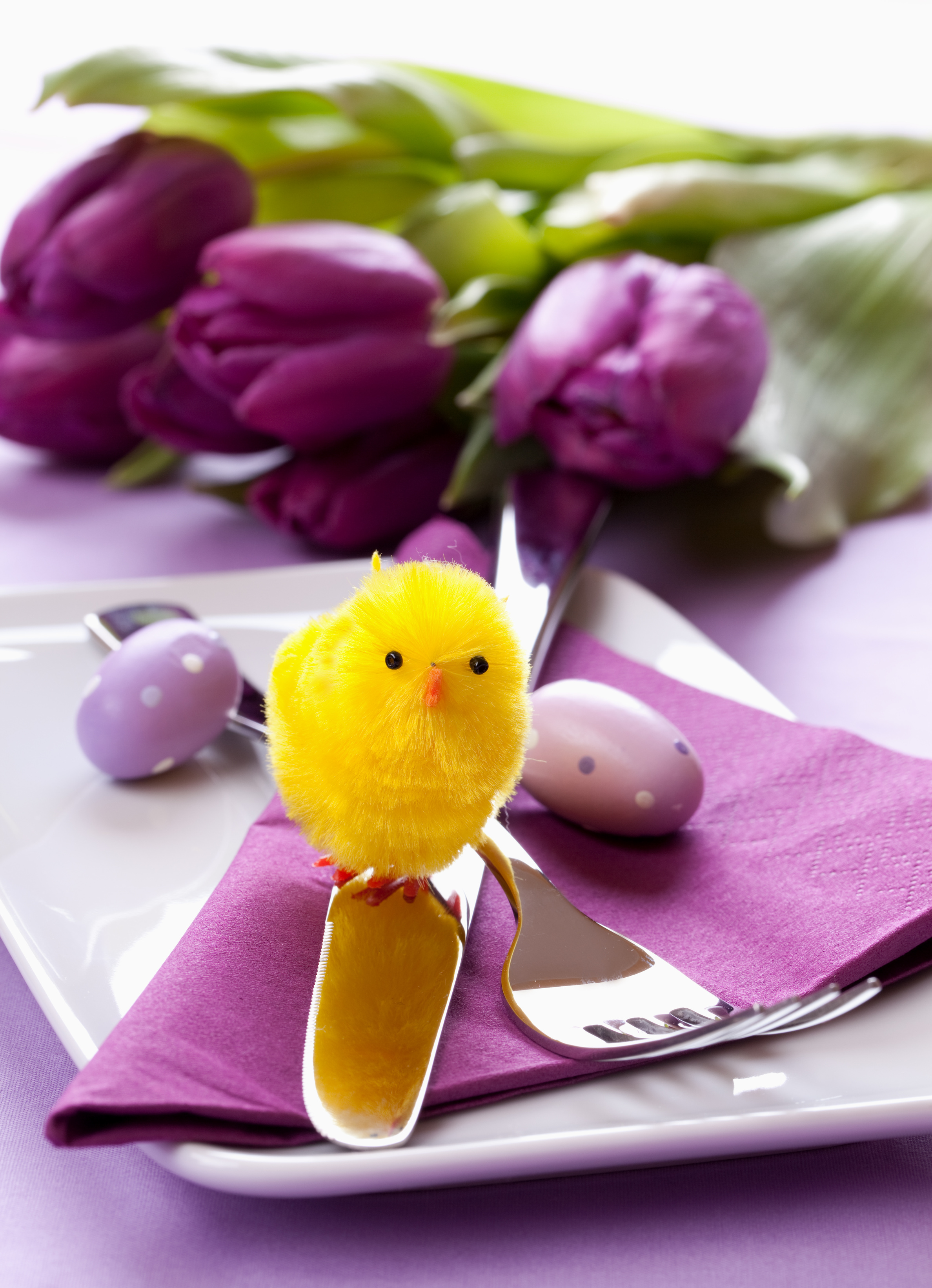 Festlicher Brunch an Ostersonntag im Van der Valk Naturresort Drewitz